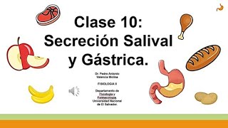 CLASE 10 SECRECIÓN SALIVAL Y GÁSTRICA FISIO II U3 [upl. by Aicek]