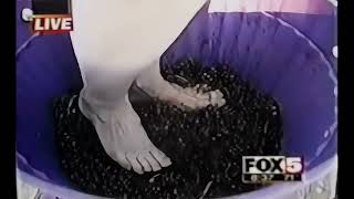 Grape Stomping Lady Falls 4K Upscaled [upl. by Tsenrae474]