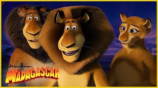 Desde Madagascar hasta las profundidades de África  DreamWorks Madagascar en Español Latino [upl. by Hugues]