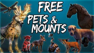 FREE PETS amp MOUNTS in Elder Scrolls Online ESO Guide [upl. by Tanah787]