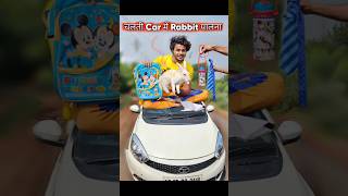 चलती Car मे खरगोश🐰पालना 🤣 rabbit comedy [upl. by Tish]