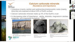 RemPlex Seminar Calcium carbonate minerals as scavengers of metals and radionuclides for natural [upl. by Eenert]