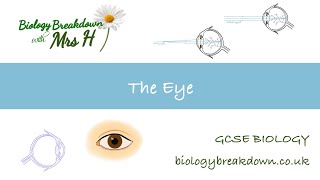 ACCOMMODATION POWER OF EYE  PHYSIOLOGY [upl. by Harbison938]