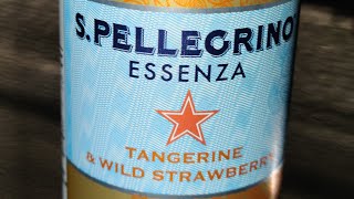 SPellegrino Essenza Tangerine and Wild Strawberry  Water Review 💧 [upl. by Raf650]