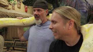 When Big Snakes Bite  SnakeBytesTV  Ep 411  AnimalBytesTV [upl. by Enitsugua773]