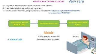 MULTIPLE SCLEROSIS amp AMYOTROPHIC LATERAL SCLEROSIS [upl. by Nyliac]