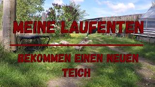 Ein neuer Teich für meine Laufenten [upl. by Kraft]