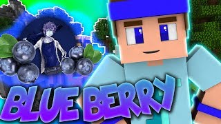 JE TEST LE BLUE BERRY PACK   Minecraft SKYWARS [upl. by Remus247]