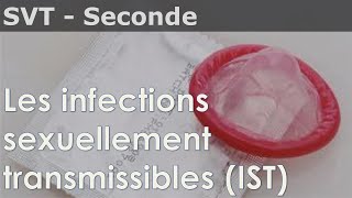 SVT  Seconde  Les infections sexuellement transmissibles IST [upl. by Dyol]