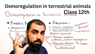 Osmoregulation in Terrestrial Environment class 12  in Urdu  Hindi medium GoldenEraScience [upl. by Amairam]