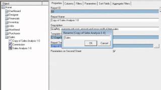 Business Intelligence by Sage Peachtree Tutorial Renaming BI Report [upl. by Hoseia902]