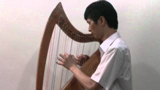 클래식 음악 Purcell Hornpipe on Cross Strung Harp Z T685 퍼셀 혼파이프 하프연주 ハープ演奏 Hunggon Kim [upl. by Hashum]