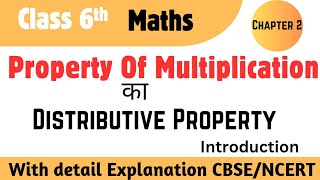 Distributive Property Of Multiplication l Addition and subtraction of Distributive Property [upl. by Hyman]