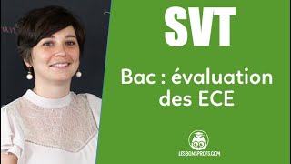 Bac de SVT  les ECE  SVT  Terminale  Les Bons Profs [upl. by Redlac]