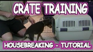 Crate Training a Puppy  Housebreaking  Tutorial [upl. by Gerk865]