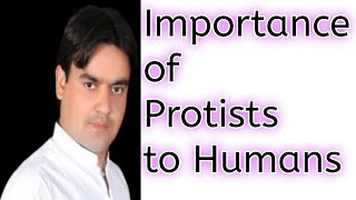 Importance of Protists to humans  Class 11  Dr Mushtaq lectures [upl. by Eilyak422]