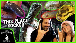 TOURING THE SERPENTARIUM REPTILE SHOP with CatAleah [upl. by Ahsikad]