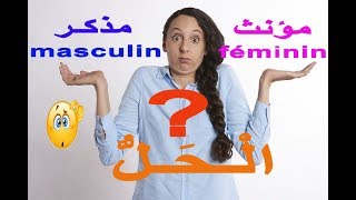 comment savoir si un nom est masculin ou féminin  كيف تعرف أن اسم فرنسي مذكر أم مؤنث [upl. by Jorie]