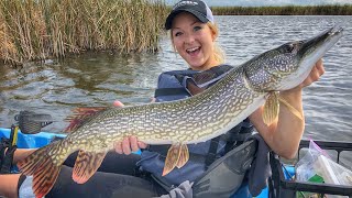 MOST INSANE Day Of PIKE FISHING EVER [upl. by Ardelle]