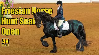 Friesian Horse Hunt Seat Open at Carousel Charity Horse Show [upl. by Cesya]