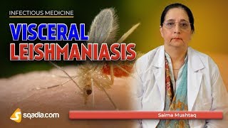 Visceral Leishmaniasis  Leishmania Donovani Disease  Medicine Lectures  VLearning [upl. by Llezo]