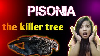 Pisonia the killer tree 😱Anupmakshorts facts amazingfacts FactsMine Anandcreation3 [upl. by Worl]