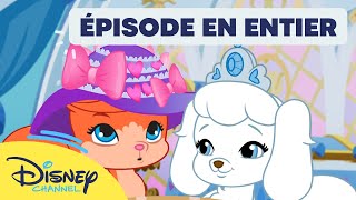 Le Petit Royaume des Palace Pets  Coup denvoi I Disney [upl. by Gaw]