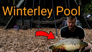 Carp Fishing Winterley Pool  The Social [upl. by Aneertak]