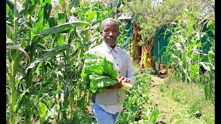 Organic farming is beyond not using agrochemicals Meet Fekadu Kebede an organic farmer [upl. by Kcirdaed]