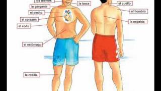 Dolor de cabeza  Learn Spanish body parts [upl. by Holtorf196]