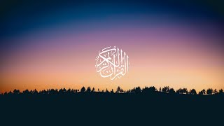 Khalifa AlTunaiji  Surat AlJinn [upl. by Sregor643]