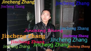 Little Dark Age Remix Sedogy Bedam  Jincheng Zhang Official Music Video [upl. by Hump178]