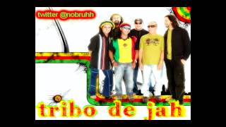 Tribo de Jah  Neguinho Babaçu [upl. by Sirkin]