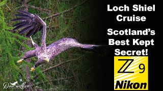 Loch Shiel Cruise Scotlands Best Kept Secret [upl. by Triny]