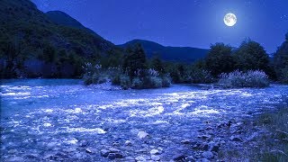 Música Relajante para Dormir Desde Rio Manso en la Noche de Luna [upl. by Adao]