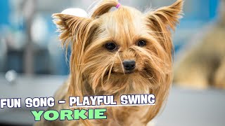 🎶 Little YorkieFun Song about Yorkie 🐾 [upl. by Ellenid]