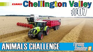 Harvesting Linseed amp Collecting Straw  ANIMALS CHALLENGE 07  CHELLINGTON VALLEY  FS19  PS4 [upl. by Bocoj554]