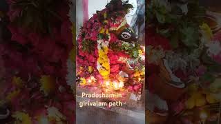 Tiruvannamalai sani Pradosha pooja for nandhi in girivalam path [upl. by Moises]