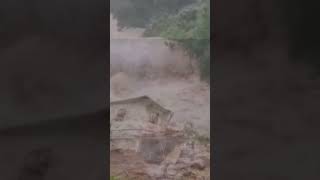 What a Terrible Landslide l Wayanad Disaster landslide shortfeed youtubeshorts [upl. by Doniv]