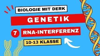 Bio Abi  Genetik  7  RNAInterferenz [upl. by Aihsaei11]