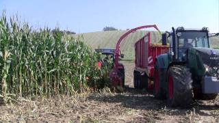 Pöttinger MEX 5 und JUMBO combiline im Maiseinsatz [upl. by Weibel]