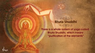 Bhuta Shuddhi  The Ultimate Cleansing  Isha Hata Yoga [upl. by Jakoba]