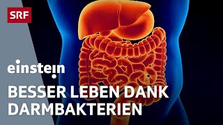 Mikrobiom – wie die Bakterien im Darm über unsere Gesundheit entscheiden  Einstein  SRF Wissen [upl. by Yalonda247]