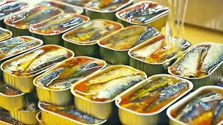 COMO se HACEN las SARDINAS en lata 🥫 Como se PESCAN y ENLATAN miles de millones de SARDINAS [upl. by Mellins]