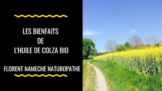 Les bienfaits de huile de colza bio Florent Nameche Naturopathe [upl. by Donelu791]