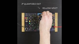 Falistri VCA AM amp Ring modulation euroracksynth synth [upl. by Faye]