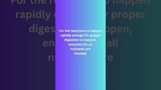 HOW DOES DIGESTION HAPPEN digestivesystem gastrin cck enzymes acid pH [upl. by Eaj]