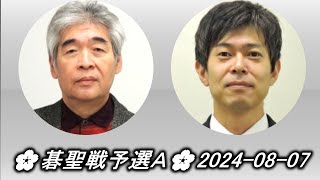 Sonoda Yuuichi 苑田勇一 vs Sakakibara Masateru 榊原正晃🌸第50期碁聖戦予選A🌸20240807 [upl. by Ecneralc855]