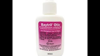 Baytril Otic [upl. by Oiuqise]