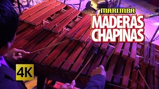 Marimba Maderas Chapinas  Concierto Orgullo Chapin  Calidad 4K [upl. by Riki252]